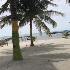 Meet your Posher, Lee